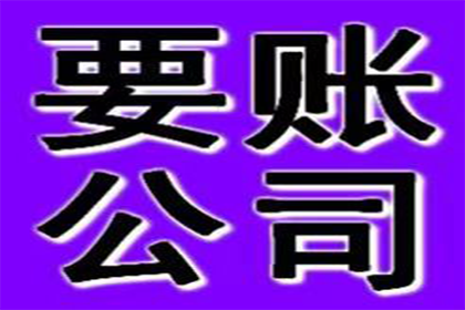 800元债务纠纷可否提起诉讼？